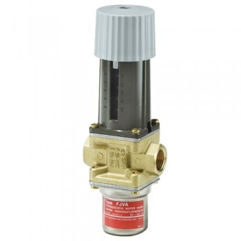 FJVA 25 25-65 °С G1 (003N8216)