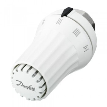 RAE-H 5035 (013G5035)